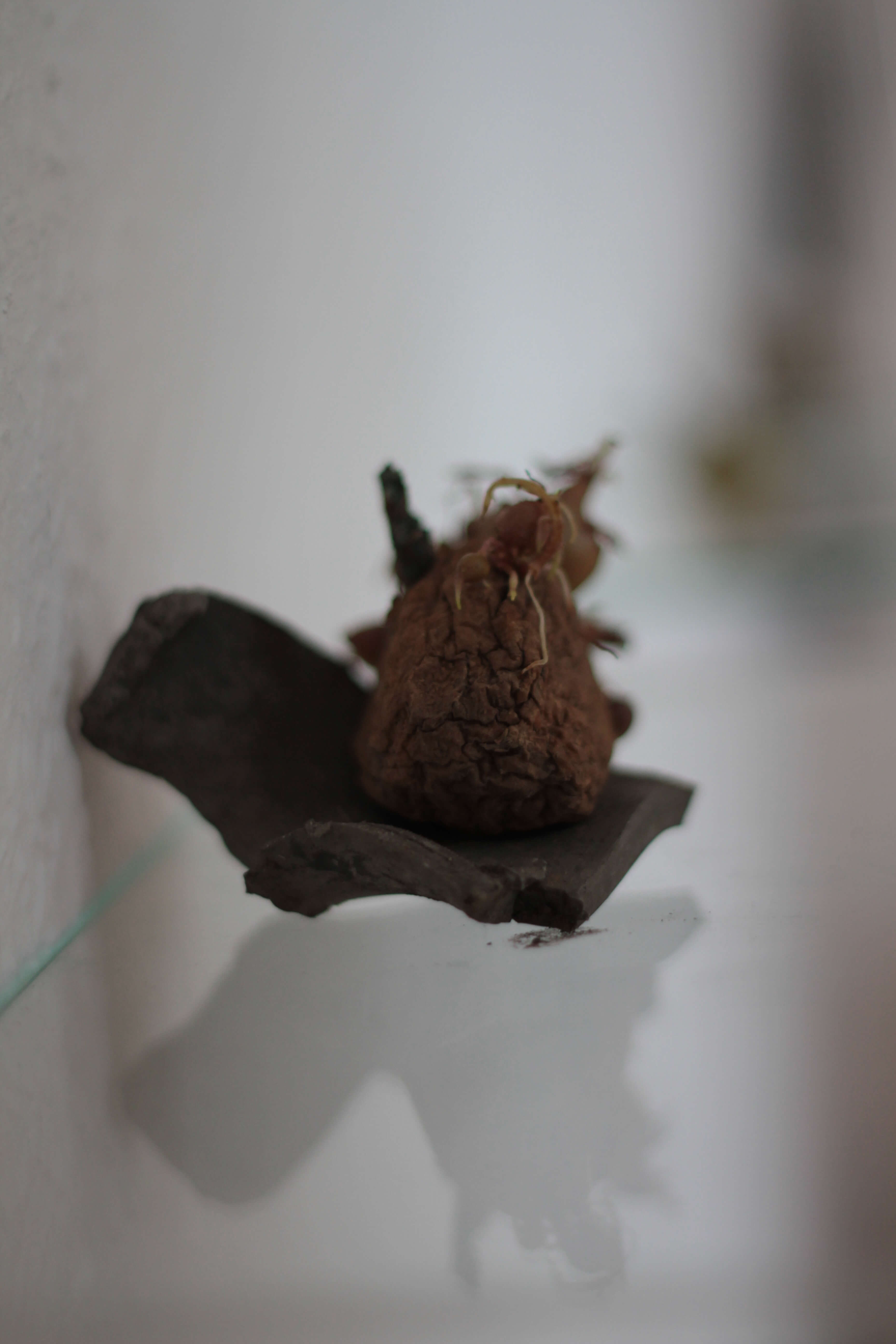 art of Mykhaylo Barabash